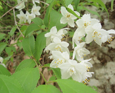 �q���E�c�M