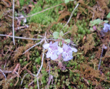 �J�L�h�E�V