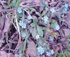 ���}�����\�E