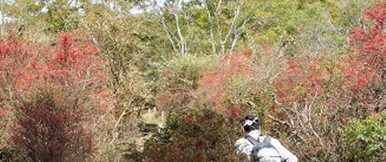 �R����O���M�������ς�