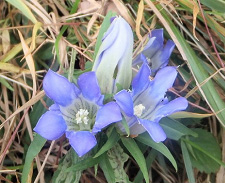 �����h�E