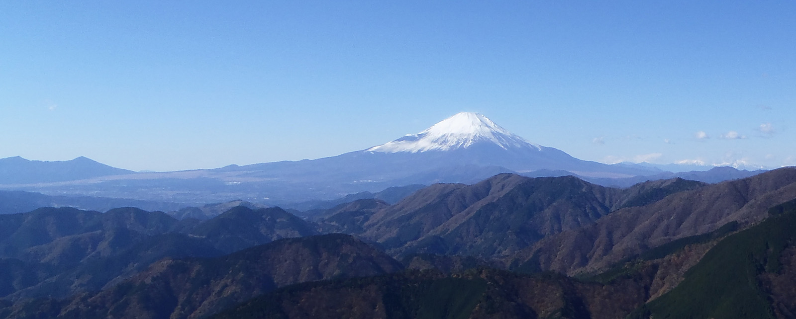 �@�O�m���R������̕x�m�R�ƈ���R�@