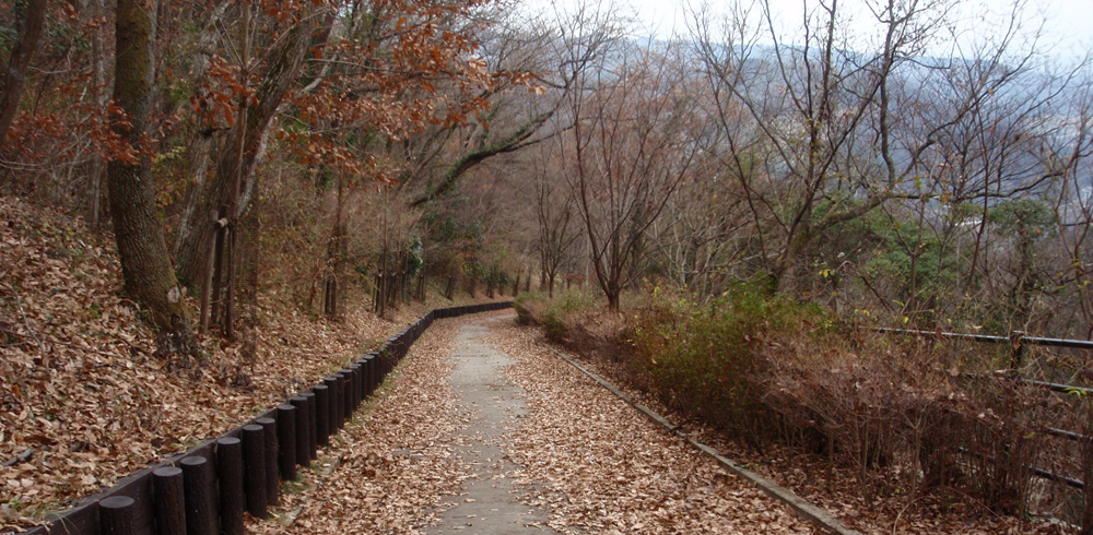 �����`���@�؁X�̗t�͗����~�x�x