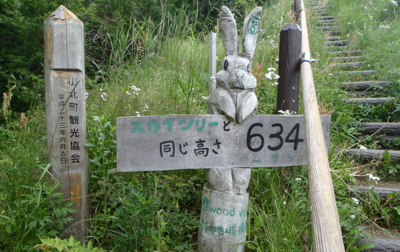 �C�k�N�r���̓o�R���ł��W��634m�ŁA�E�T�M