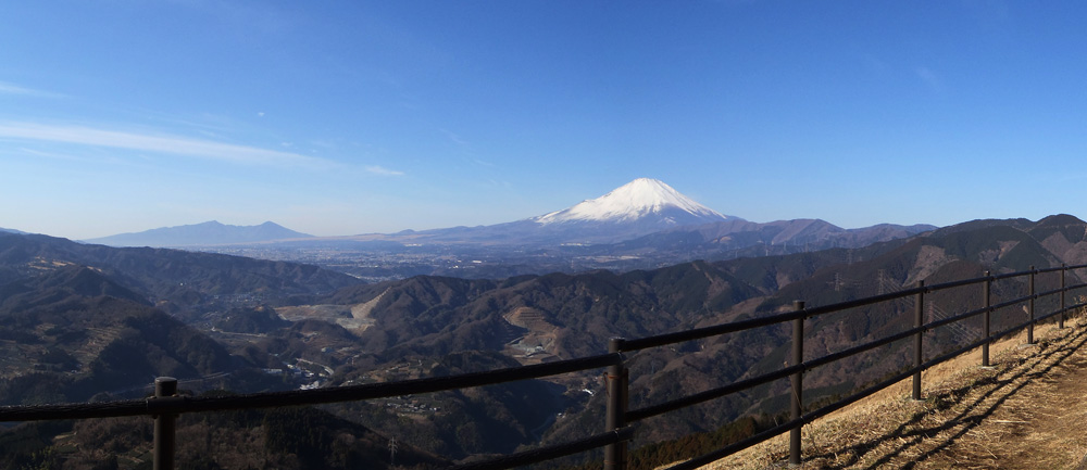 ���R�x�e�ɂ���̕x�m�R