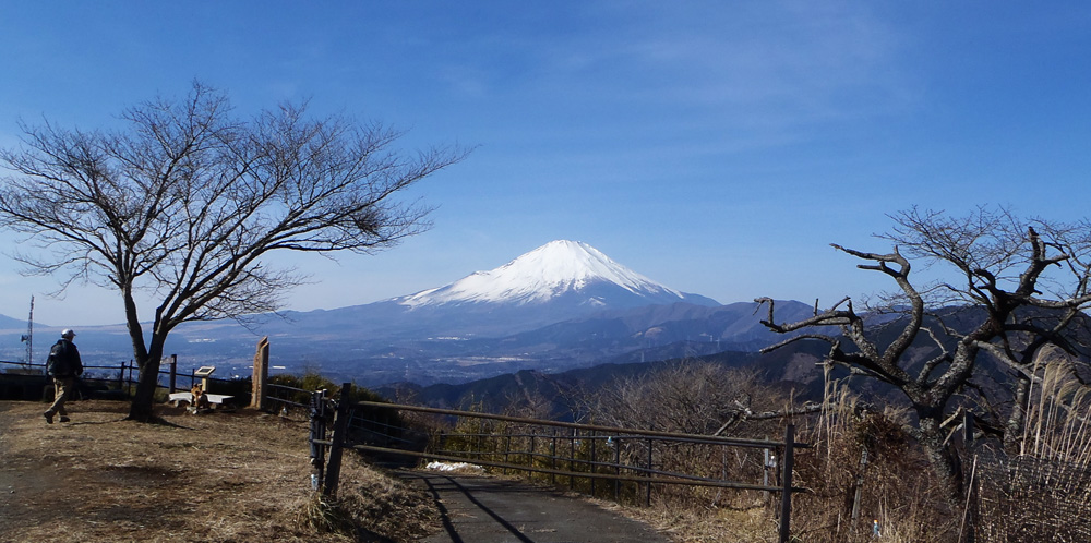 ���R�R������̕x�m�R