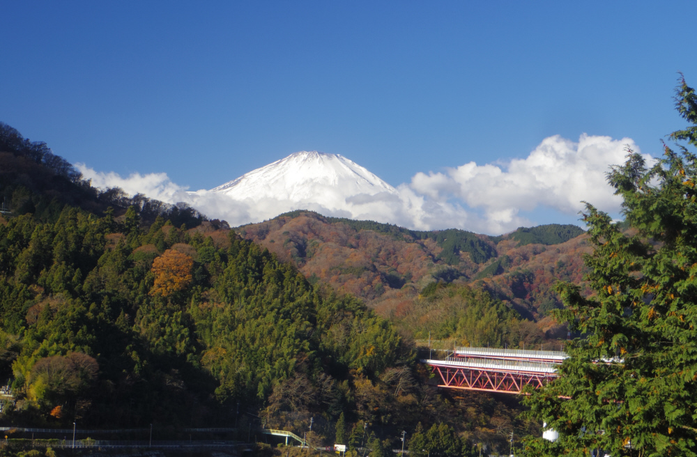 ���o�R���ォ��̕x�m�R