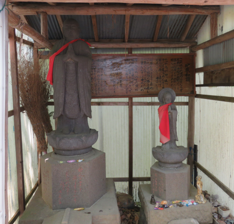 ���q�n����