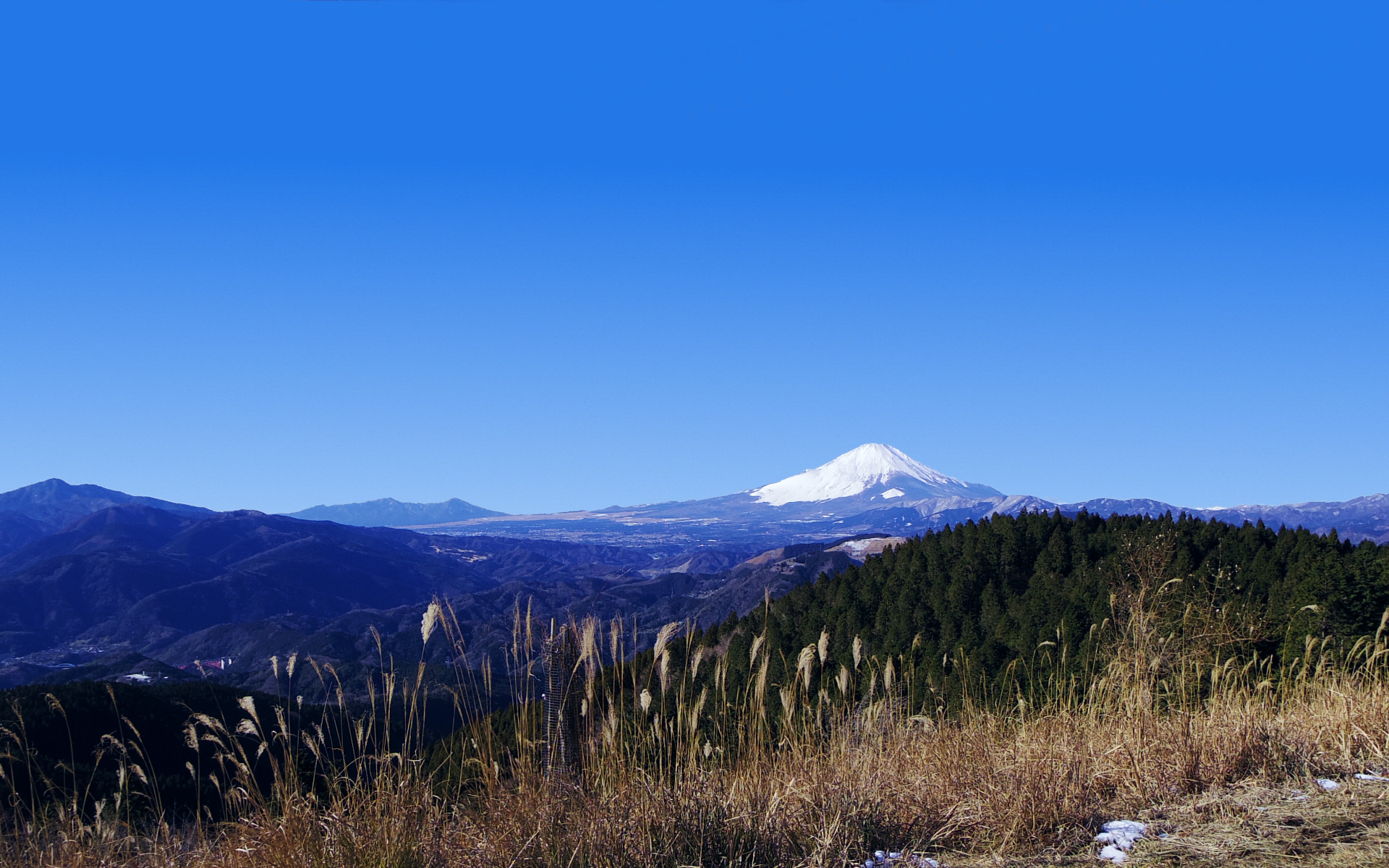 �����R�R������̕x�m�R�i2�j�@�x�m�R�ƈ���R�@2013�N12��29���@10�F29 �@�@�@�ǎ��p