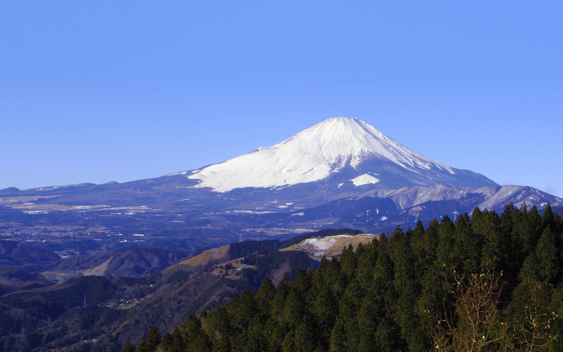 �����R�R������̕x�m�R(6�j�@�x�m�R�𒆉��ɂ���