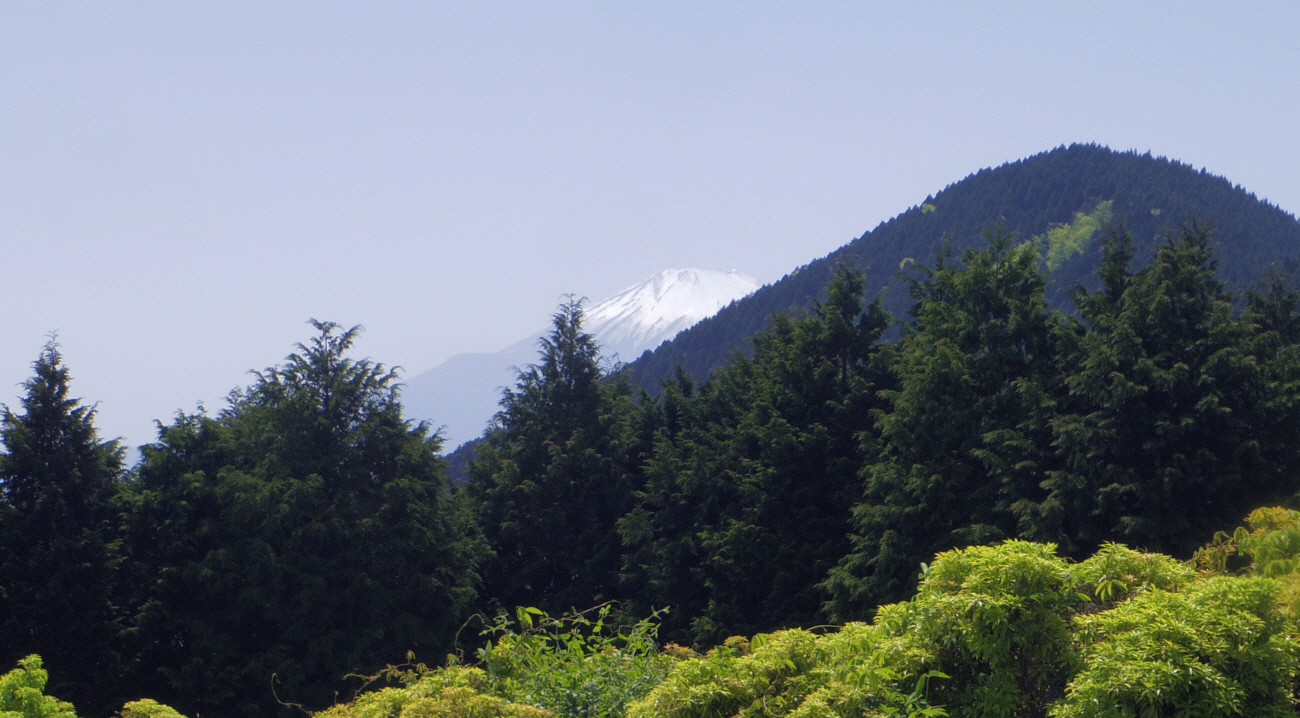 �V�_���S�R����̕x�m�R