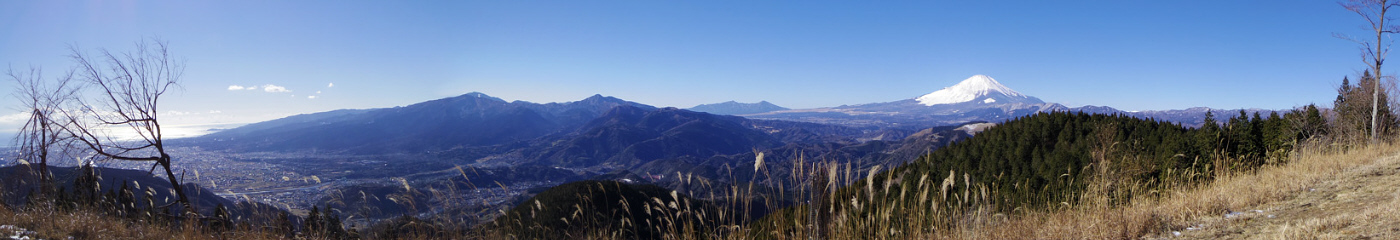 �����R����̕x�m�R�E�p�m���}