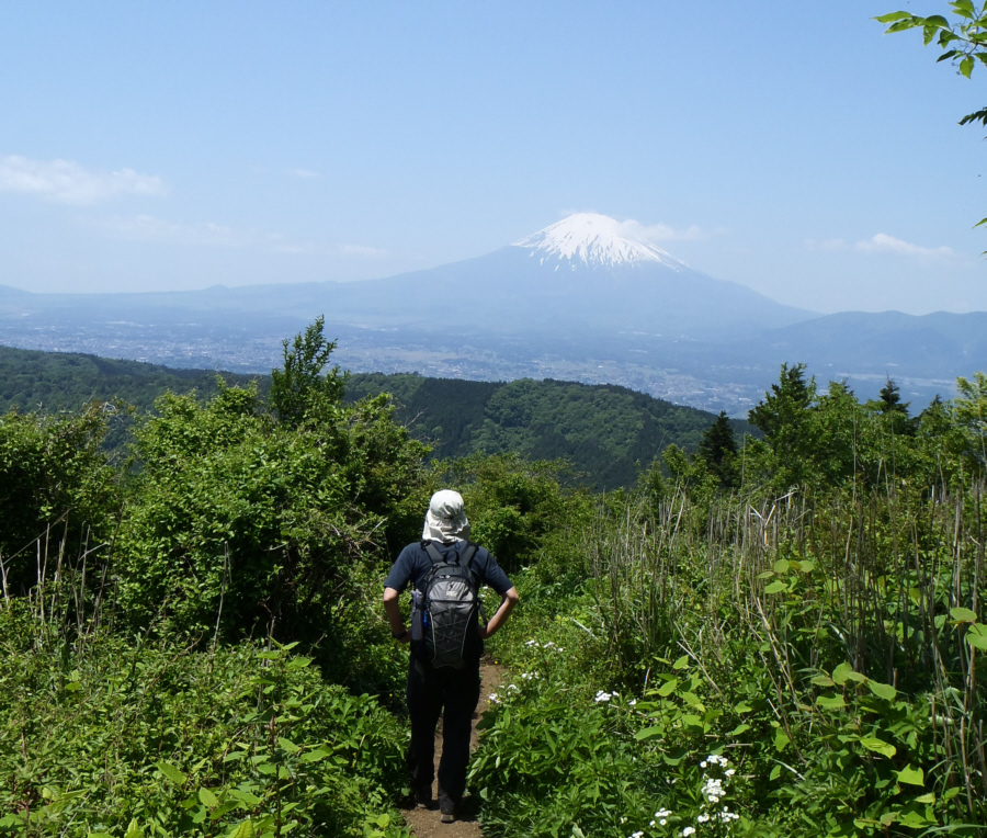 矢倉岳山頂下の富士山展望地からの富士山