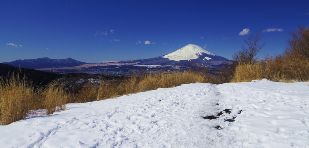 矢倉岳山頂からの富士山