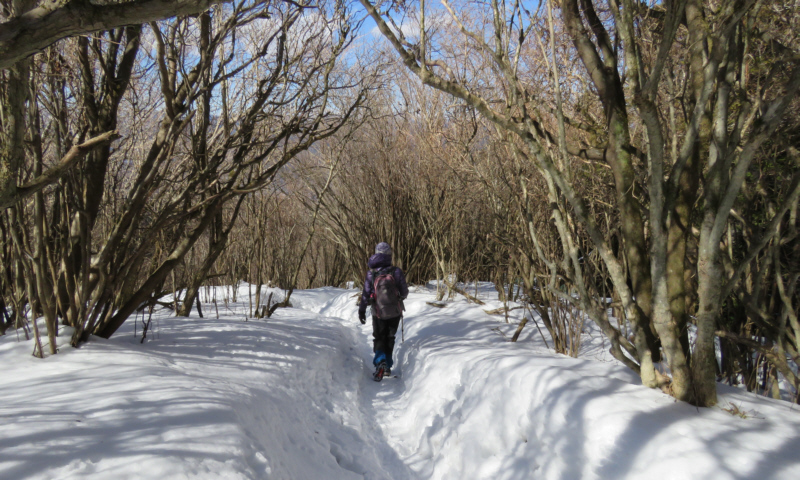 矢倉岳から万葉公園