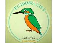 藤沢市の「市の鳥」カワセミ
