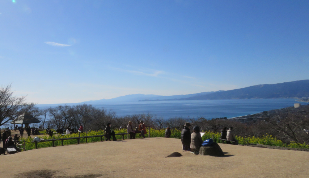 吾妻山山頂上広場から相模湾