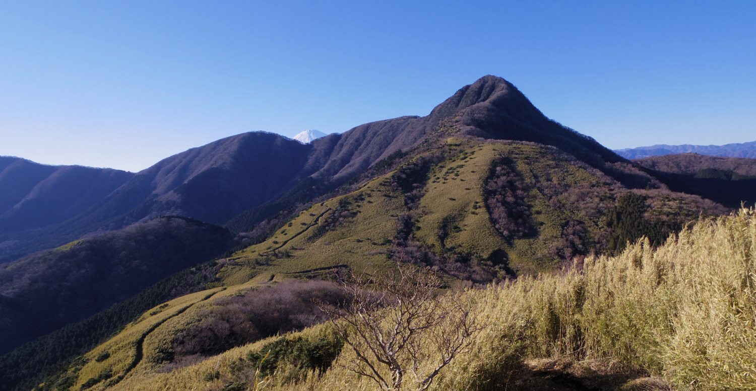 �ΑŐΊx-��q�򓻊Ԃ���̋����R�ƕx�m�R2015�N1��18���@14�F55