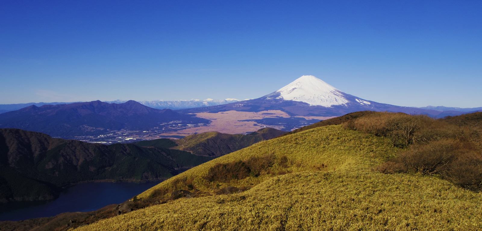 ������x�W�]�䂩��̕x�m�R