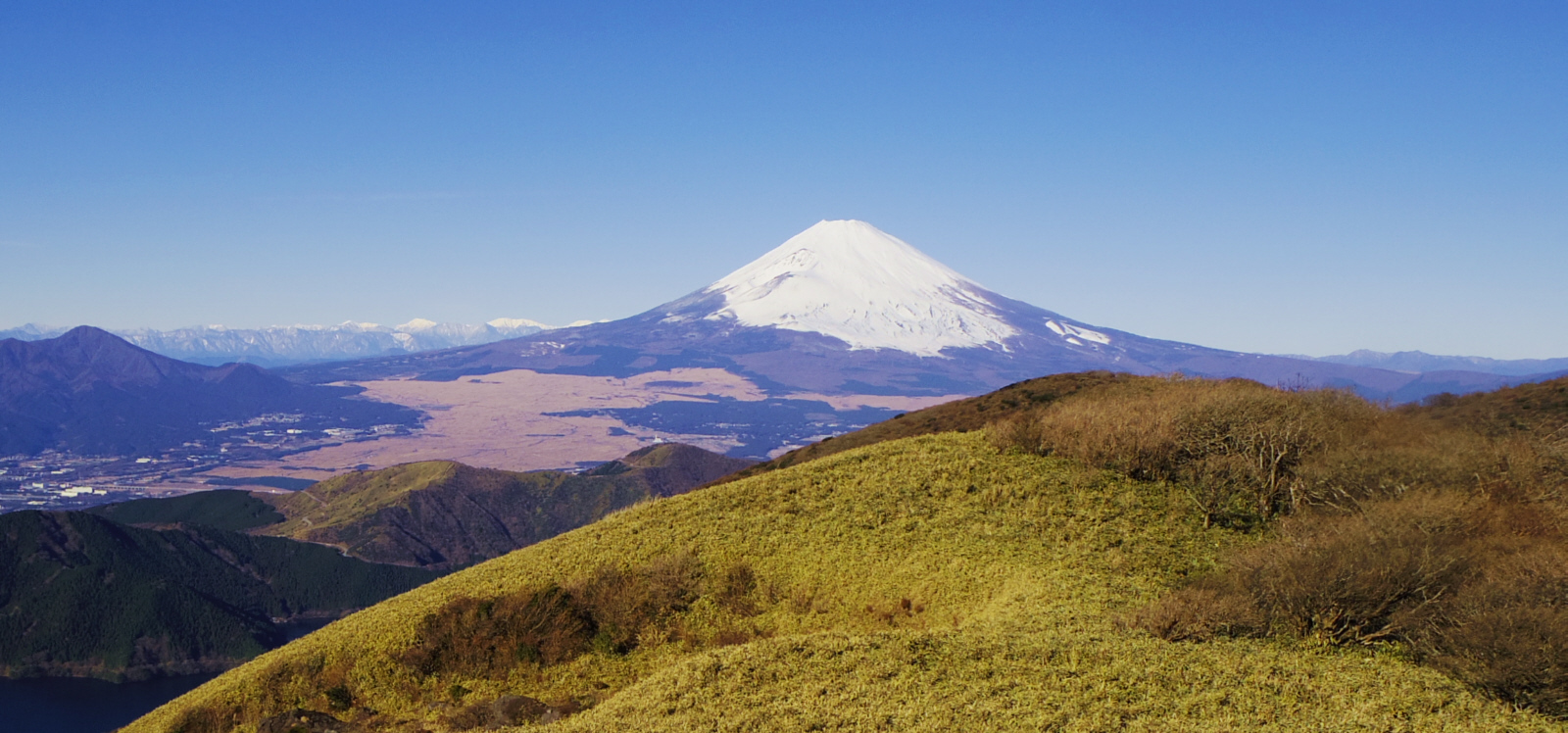 ������x�W�]�䂩��̕x�m�R