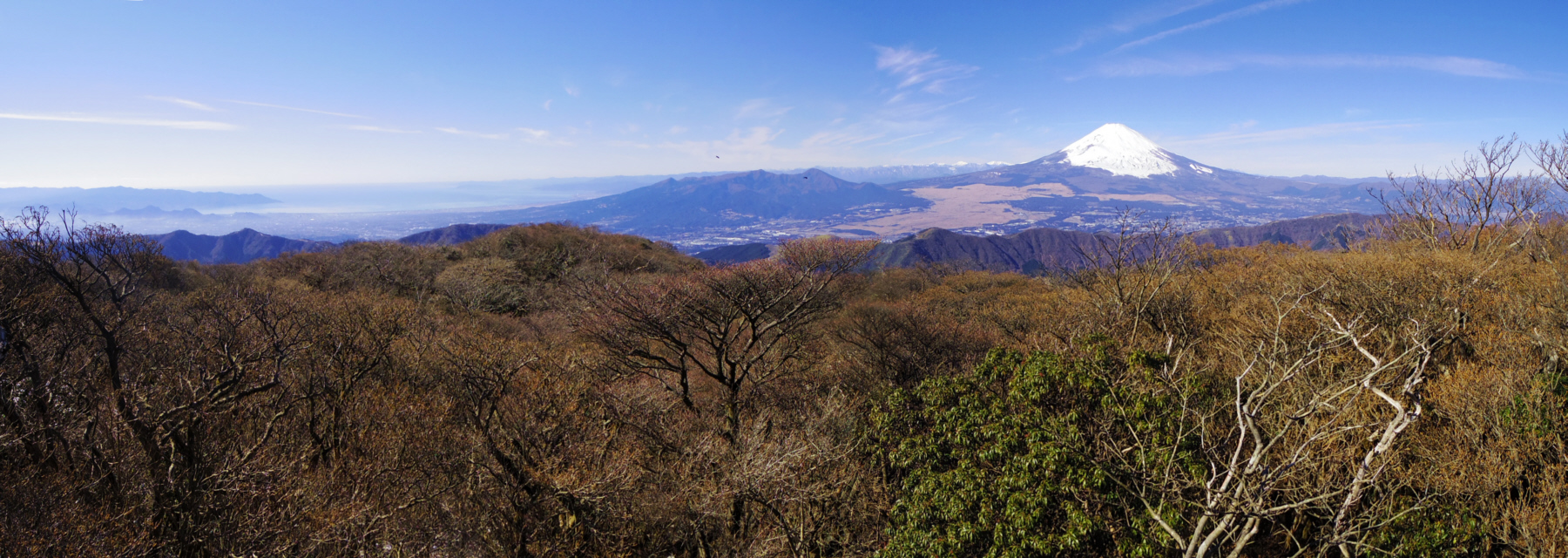 �����_�R�R������̕x�m�R