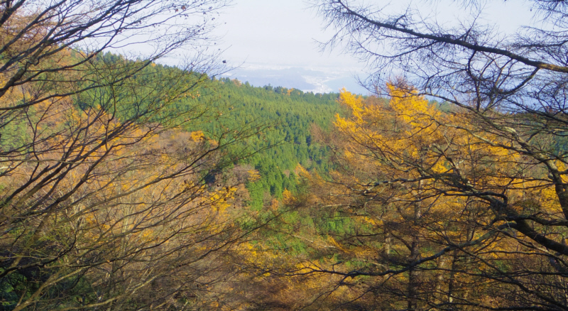 鷹巣城跡-浅間山