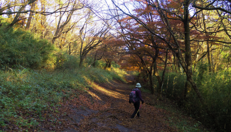 浅間山-湯坂城跡