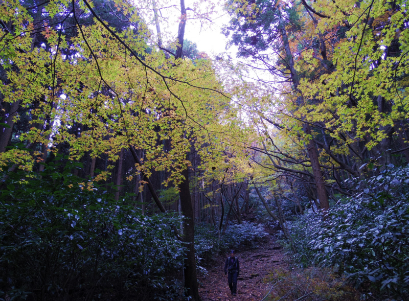 浅間山-湯坂城跡