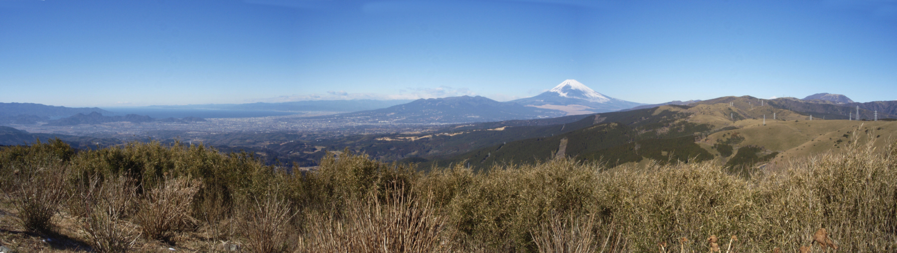 �\��������̕x�m�R�������W�]