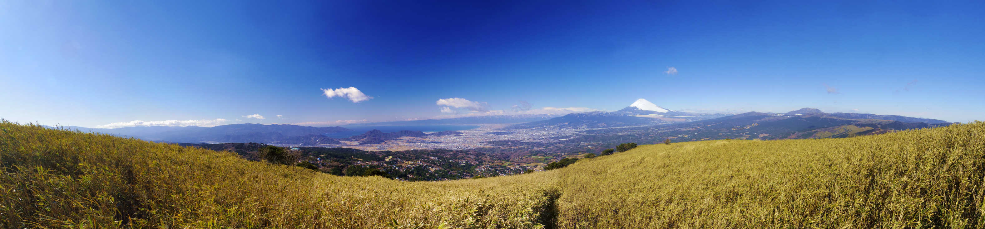 ���x����̕x�m�R�������W�]