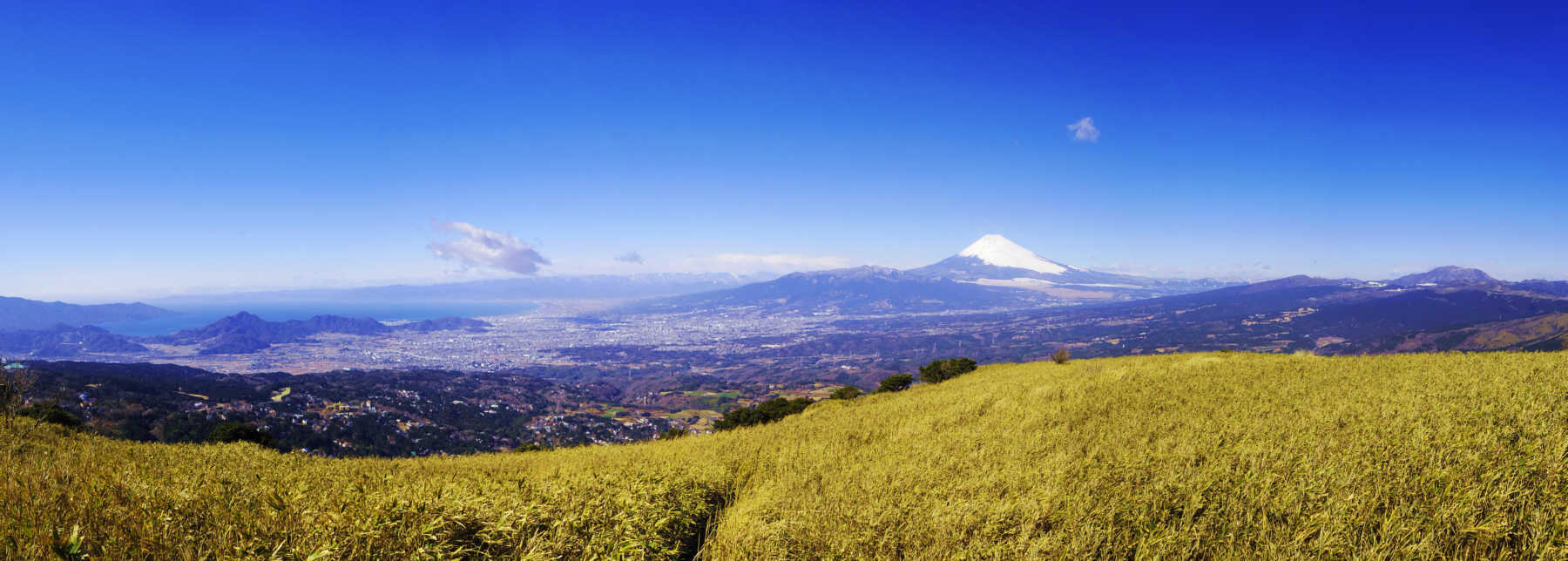 ���x����̕x�m�R�������W�]�@�Q