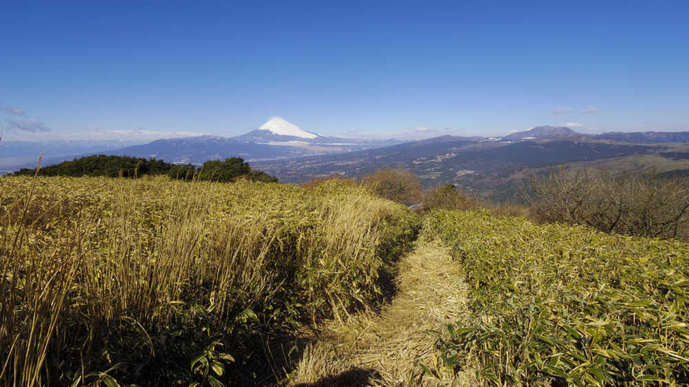 富士山と箱根の神山