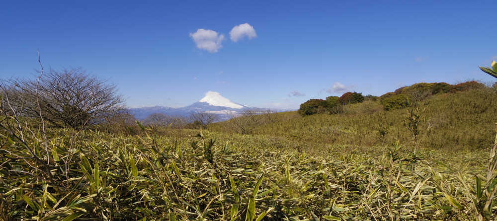 氷ヶ池の地点からの富士山