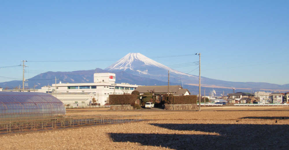 狩野川の右の土手にあがると富士山