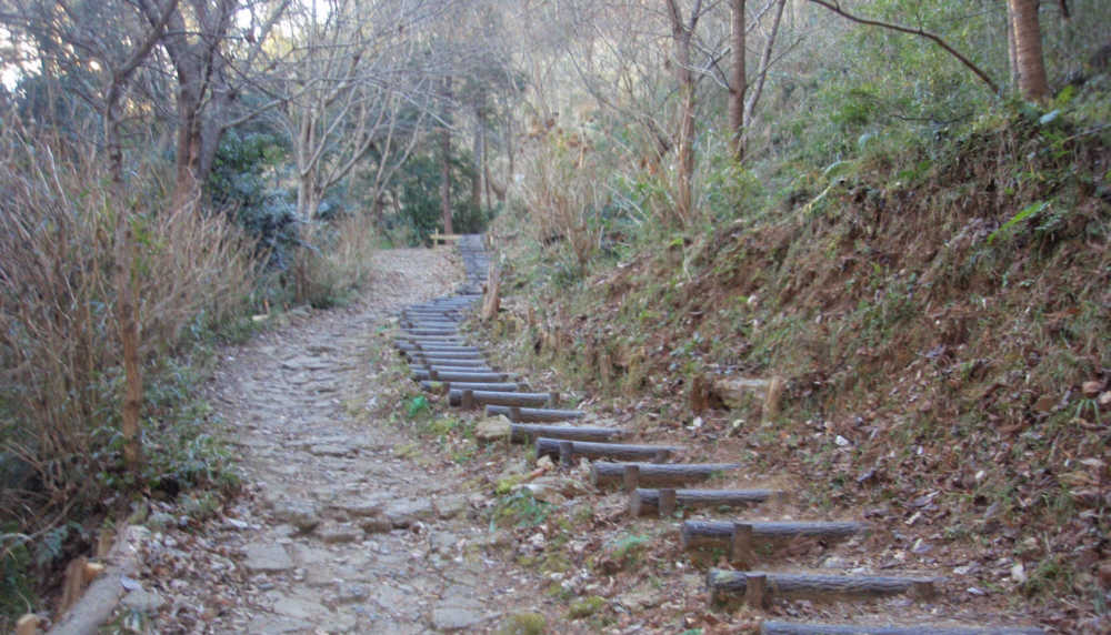 ひもりやま公園の階段道