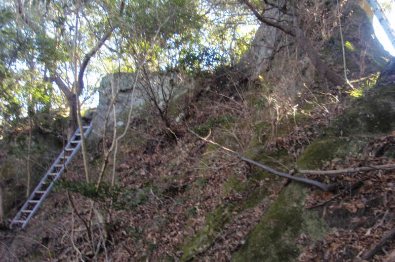 梯子を登ります