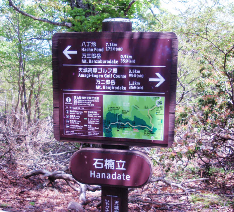 「石楠花」は「」HANADATE」