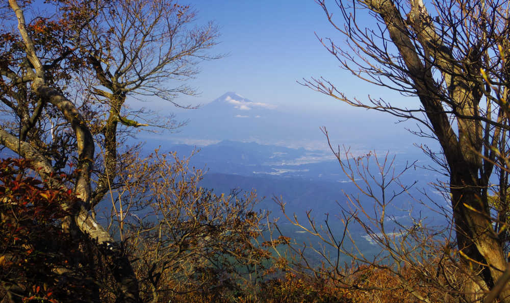 万三郎岳山頂からの富士山