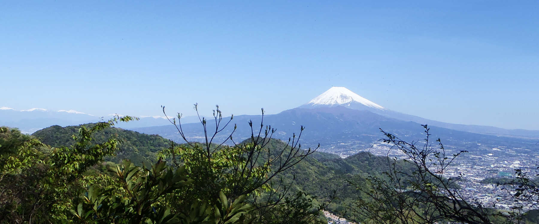 ����������班���i�񂾂Ƃ��납��̕x�m�R�@�@�@2014�N4��8���@9�F25�@�@