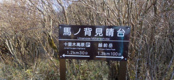 越前岳の馬の背見晴台