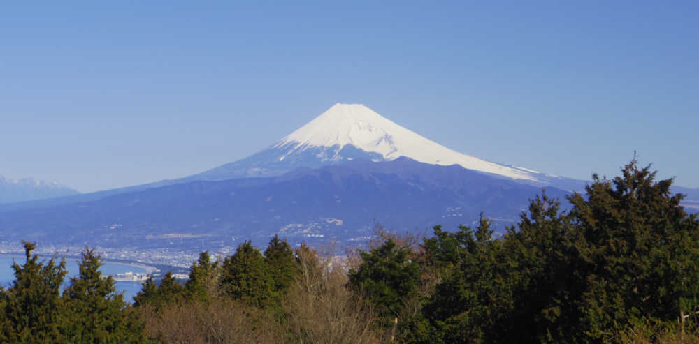 発端丈山山頂からの富士山と愛鷹山