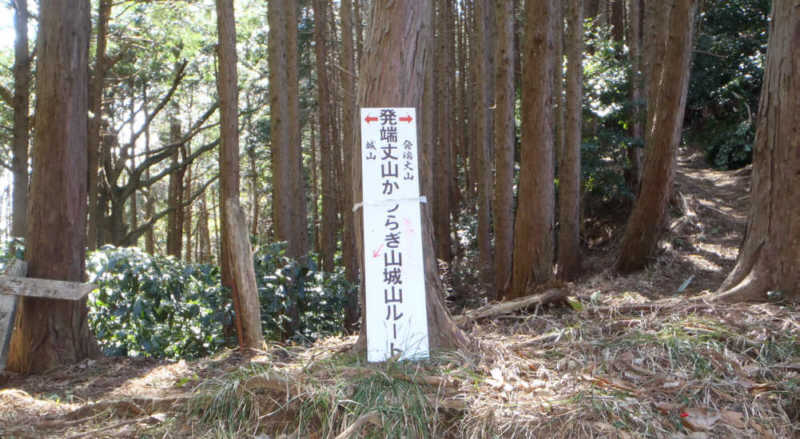 発端丈山・葛城分岐