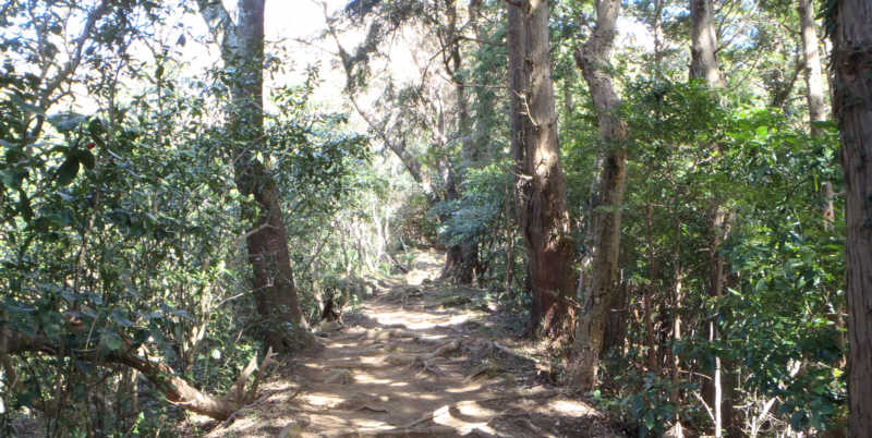 城山林道分岐から城山登山口-山頂へ