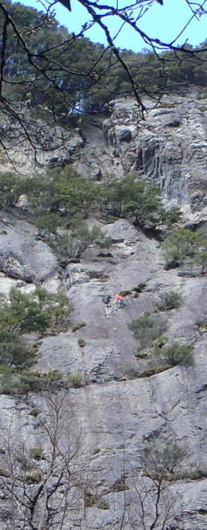 城山のロッククライミング