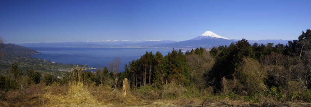発端丈山山頂からの富士山と愛鷹山と南アルプス