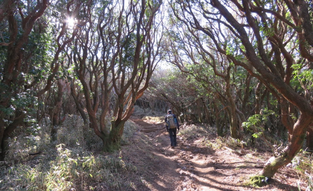 小達磨山へ進みます