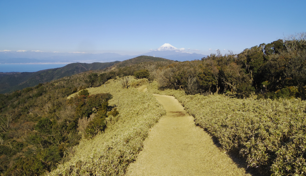 振り返ると富士山