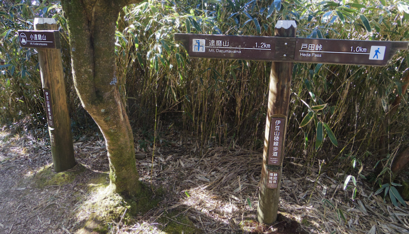 小達磨山890m