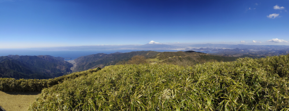 達磨山山頂からの富士山がいる大展望。