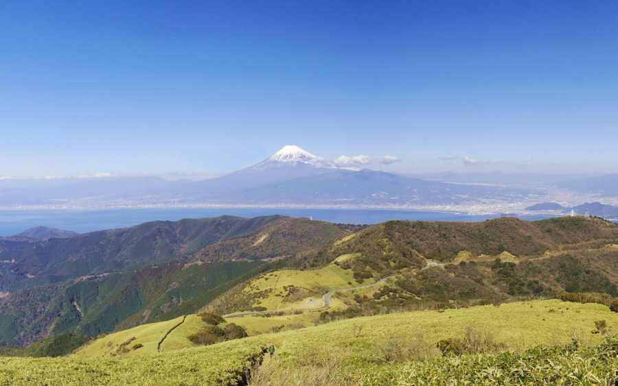 達磨山下からの登山道と駿河湾と富士山　壁紙用